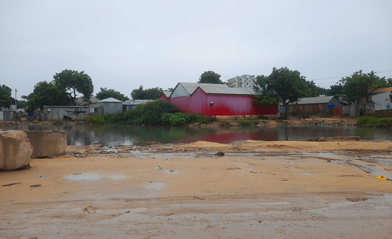 Waxyeelada Waraha Biyuhu fadhiistaan