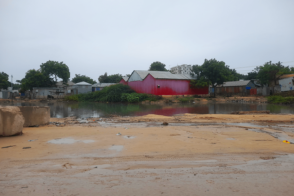 Waxyeelada Waraha Biyuhu fadhiistaan